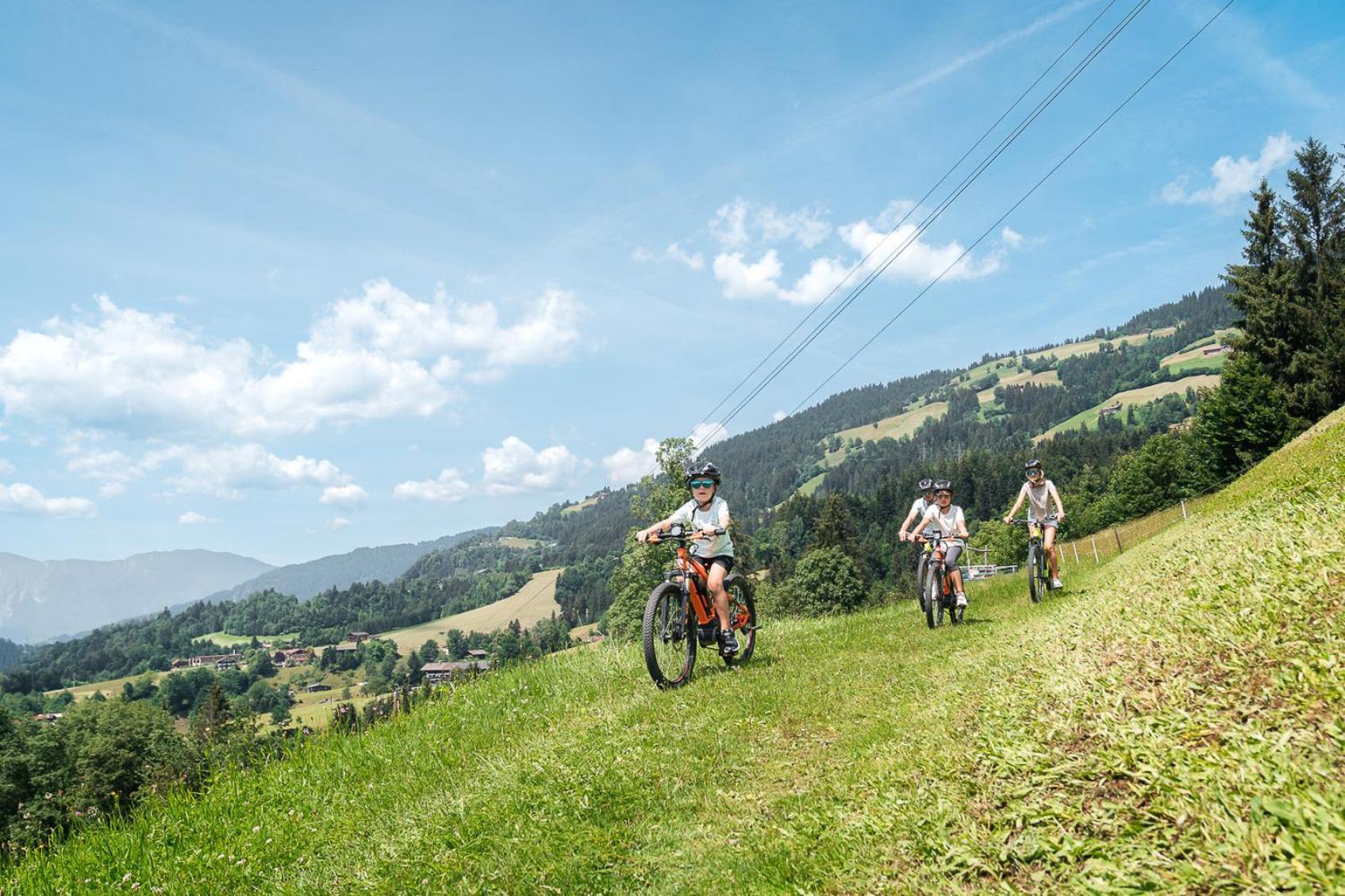 Das Hopfgarten Familotel Tirol Хопфгартен-им-Бриксенталь Экстерьер фото