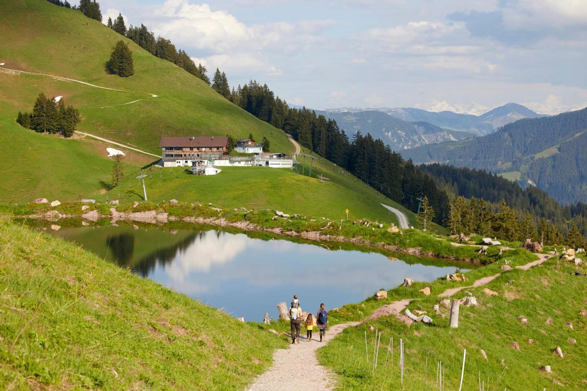 Das Hopfgarten Familotel Tirol Хопфгартен-им-Бриксенталь Экстерьер фото