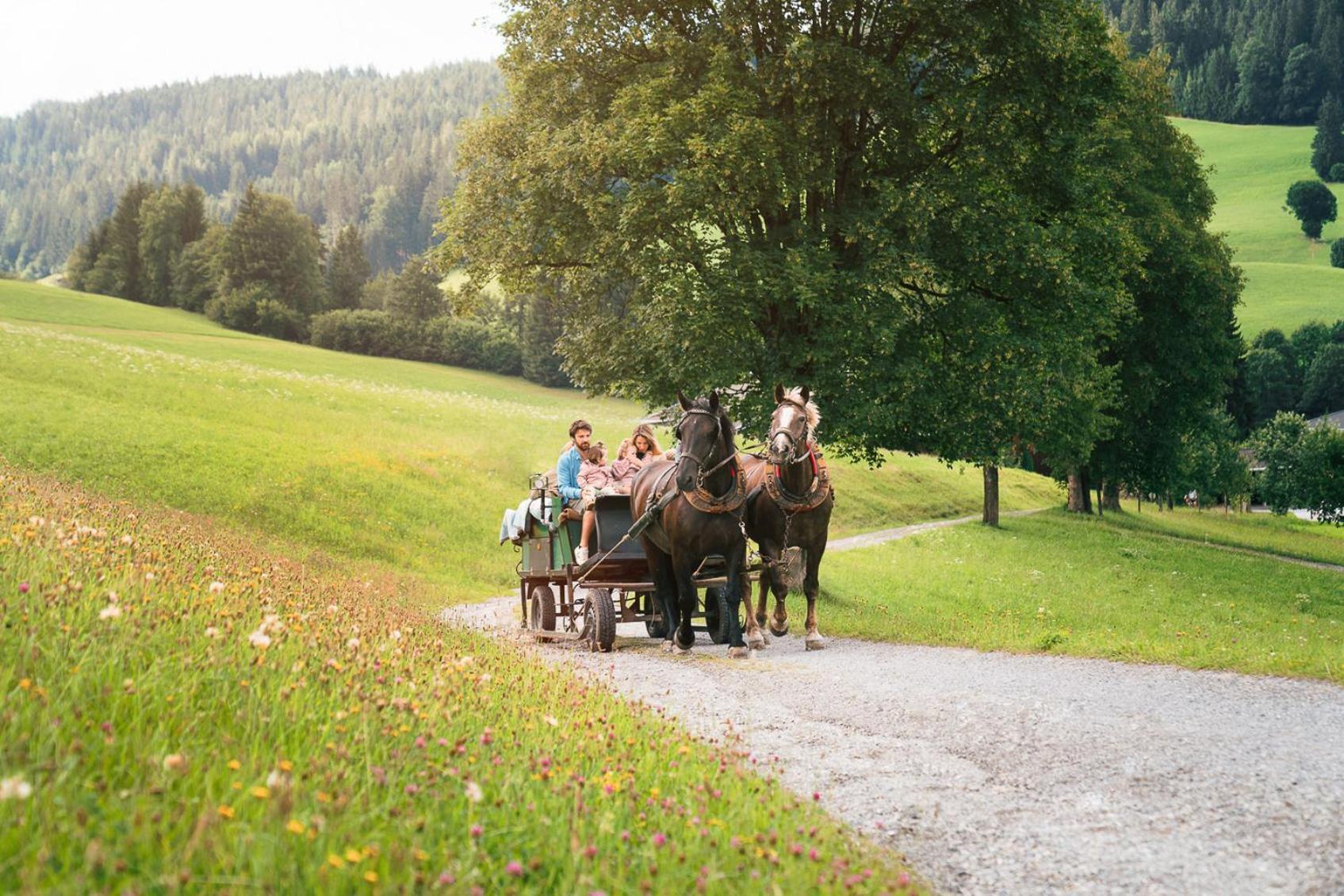 Das Hopfgarten Familotel Tirol Хопфгартен-им-Бриксенталь Экстерьер фото