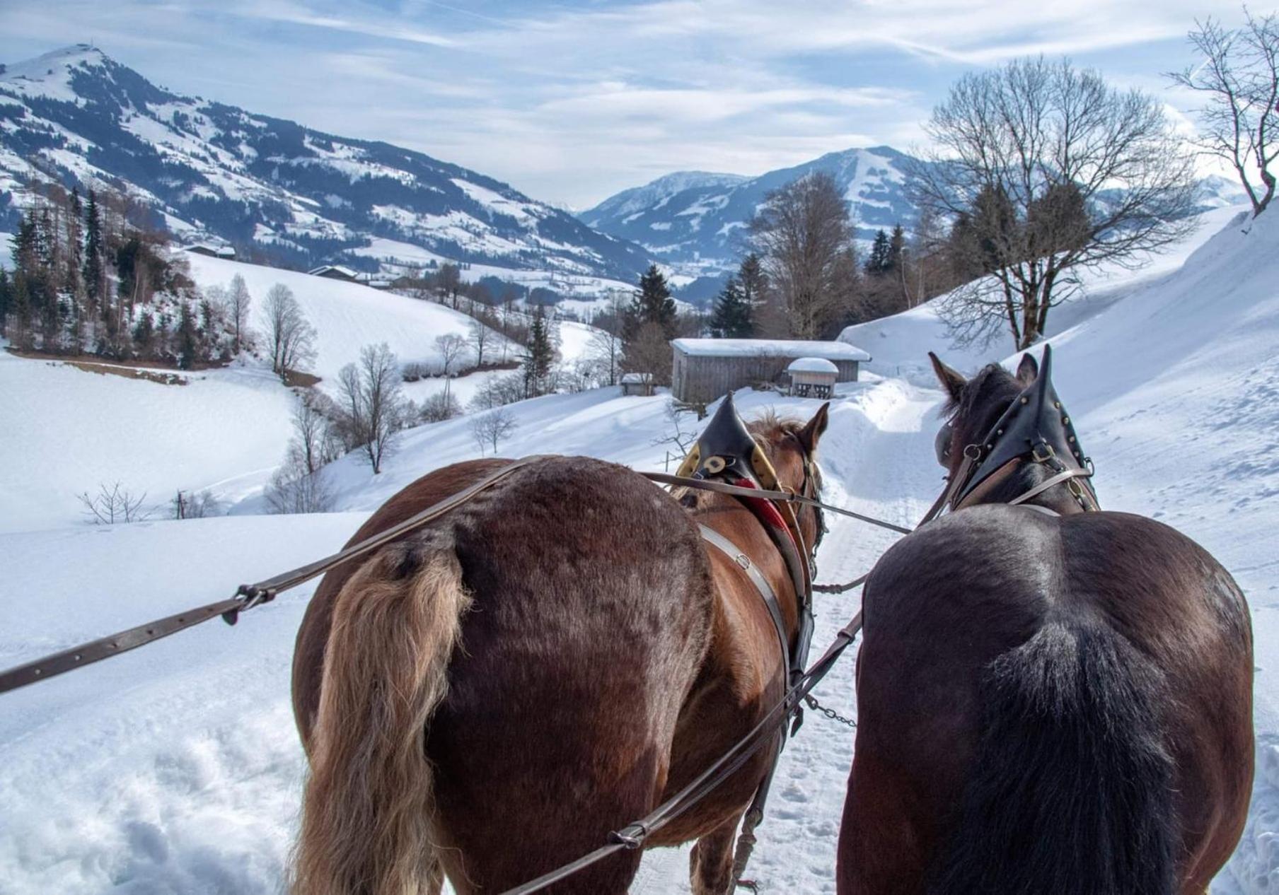 Das Hopfgarten Familotel Tirol Хопфгартен-им-Бриксенталь Экстерьер фото